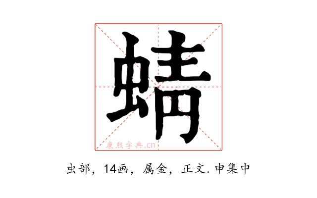 蜻