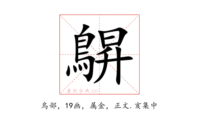 鵿