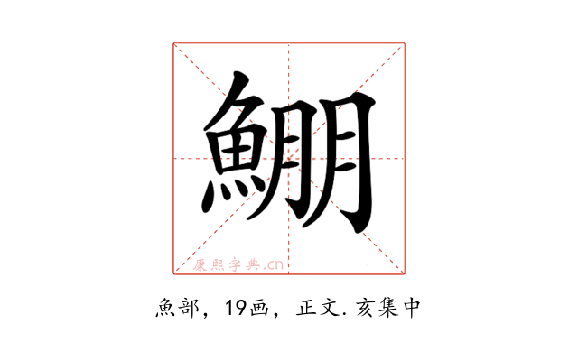 𩸀