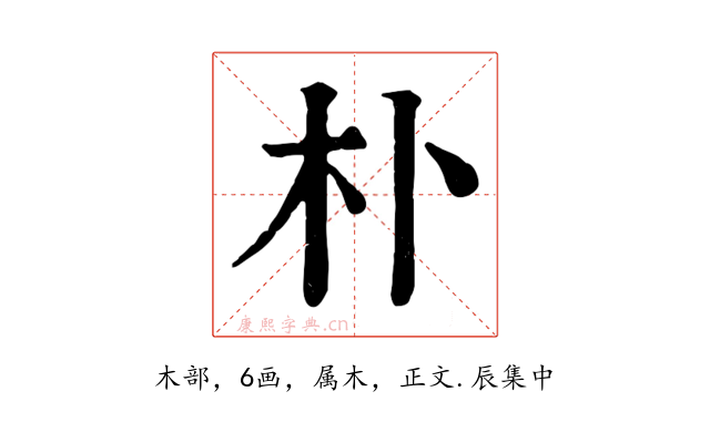 朴