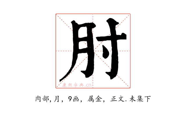 肘