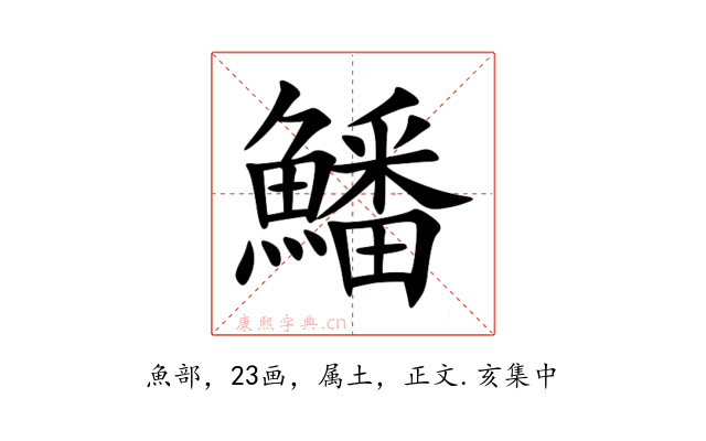 鱕