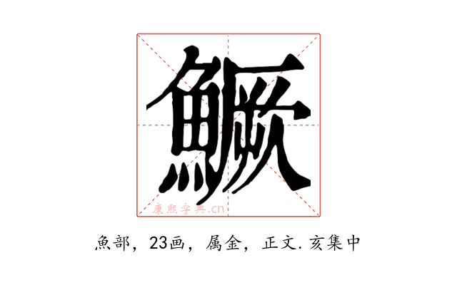 鱖