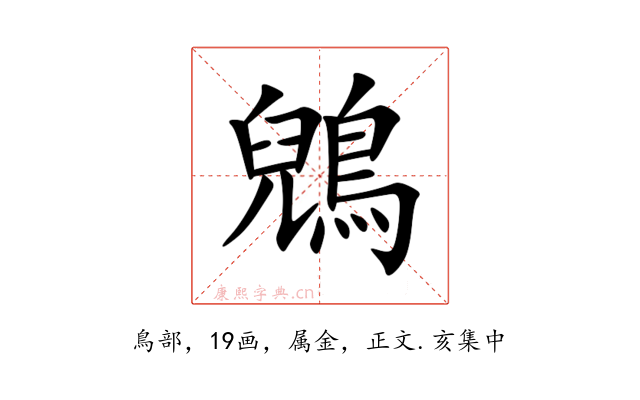 鶂
