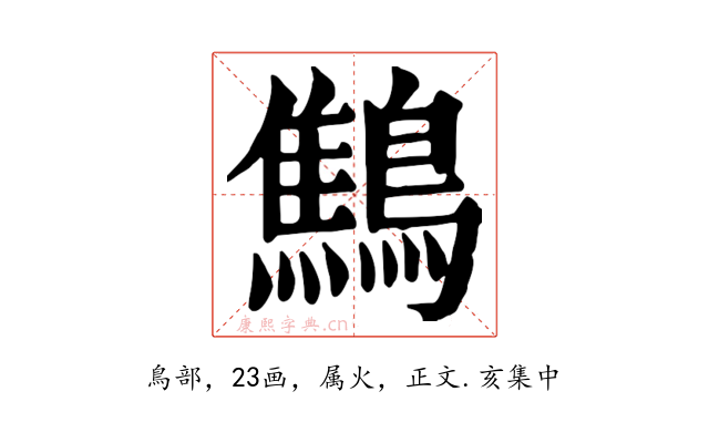 鷦