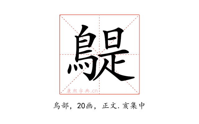 𪂿