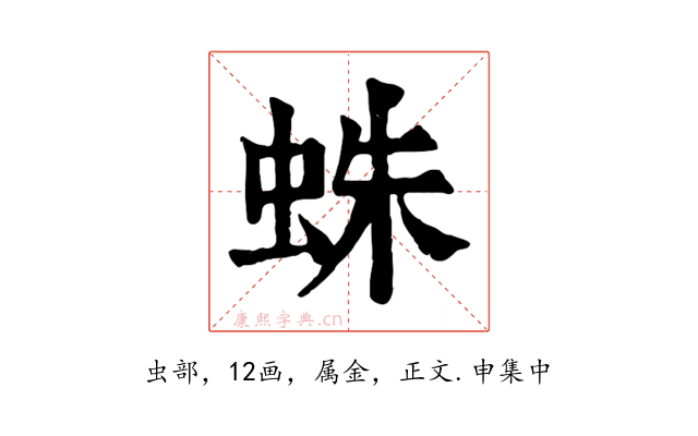 蛛