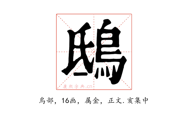 鴟