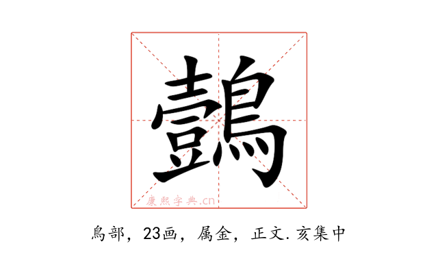 鷧