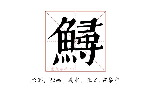 鱘