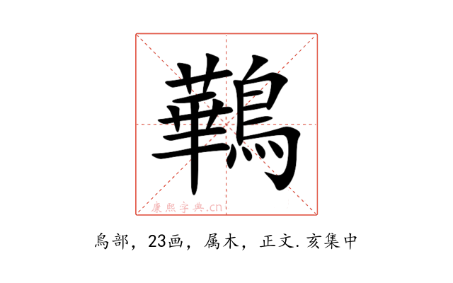 鷨