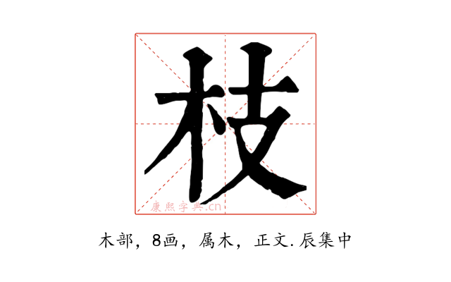 枝