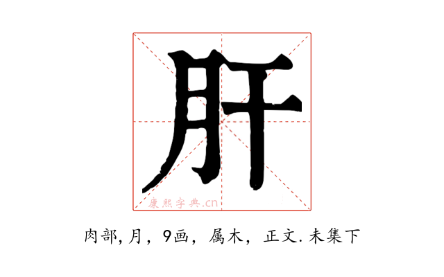 肝
