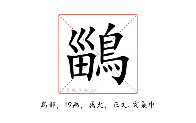 鶅