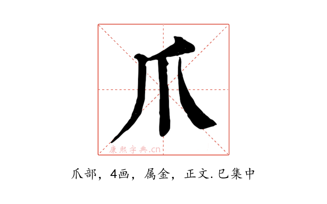 爪