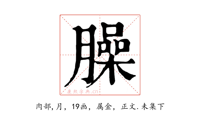 臊