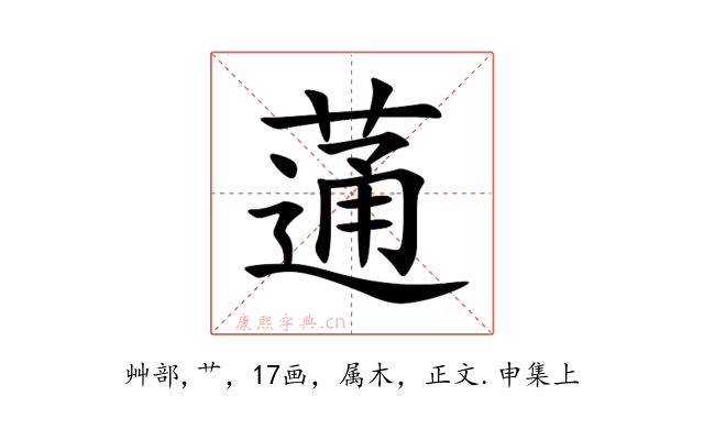 蓪