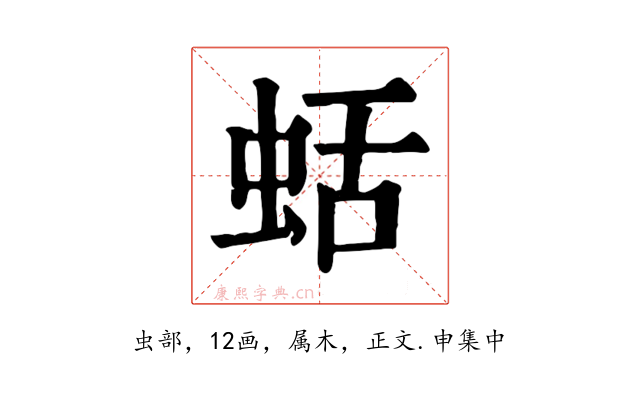 蛞
