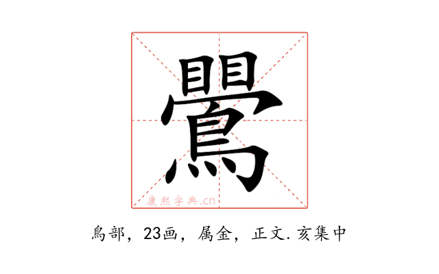 鷪