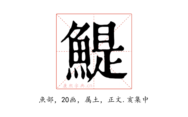 鯷