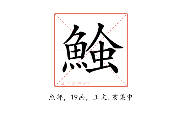 𩸈