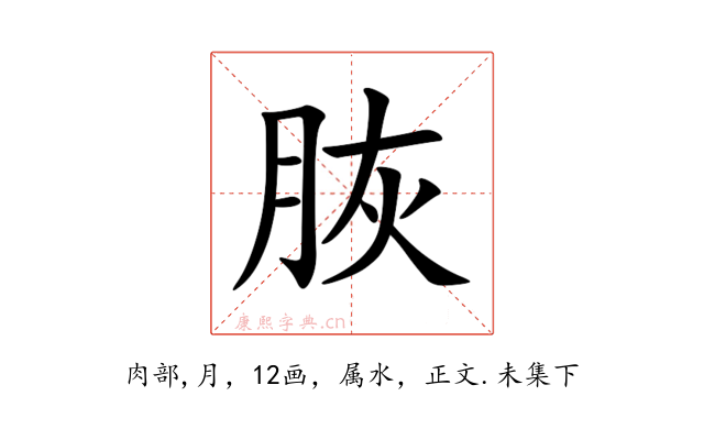 脄