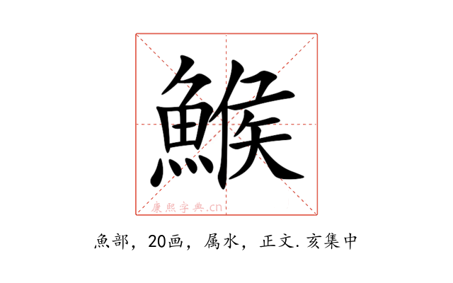 鯸