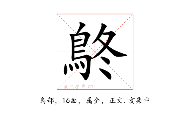 鴤