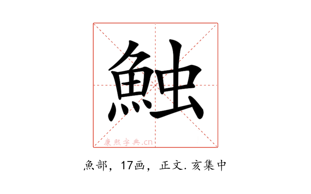 𩶥