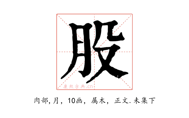 股