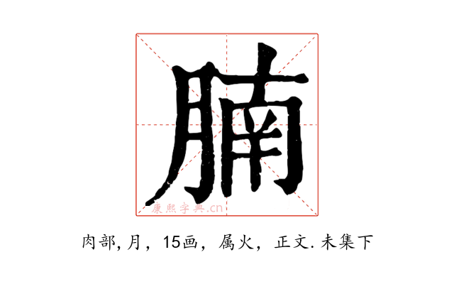 腩