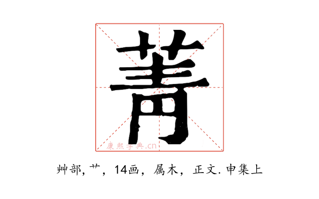 菁