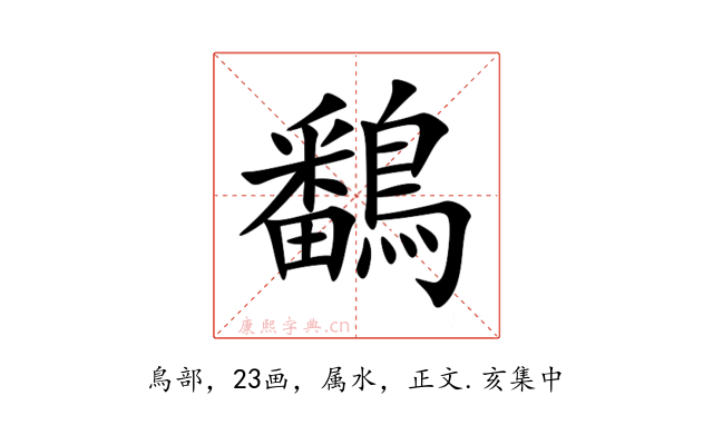 鷭