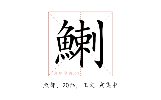鯻