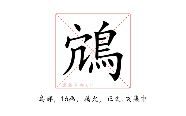 鴧
