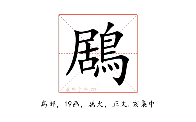 鶋