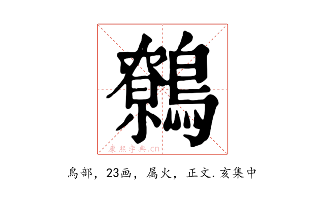 鷯