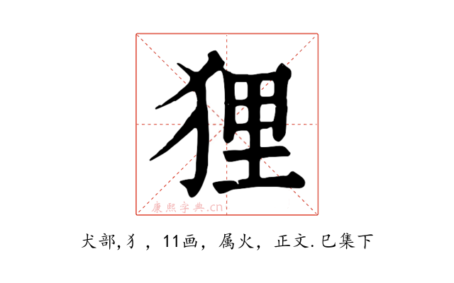 狸