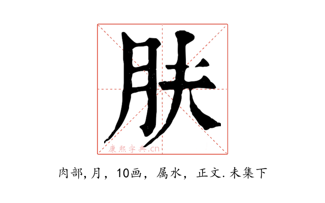 肤