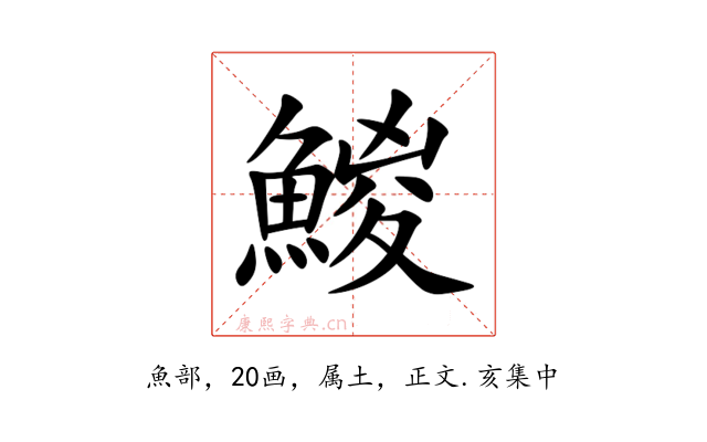 鯼