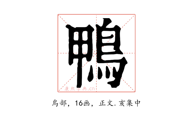 鴨