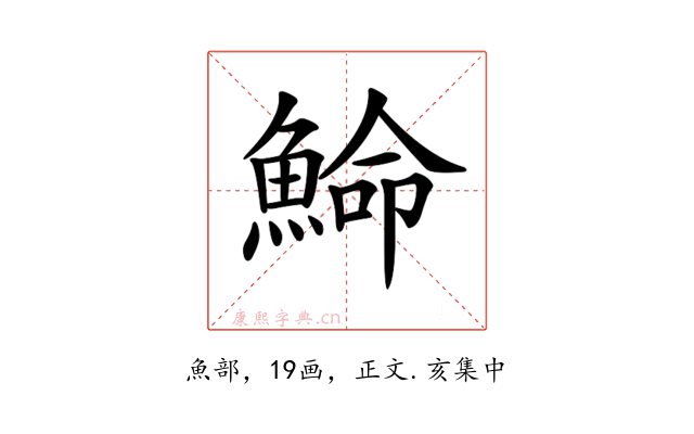 𩸍