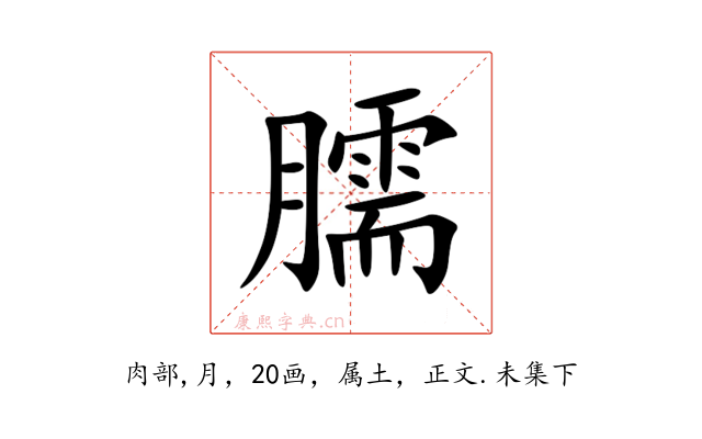 臑