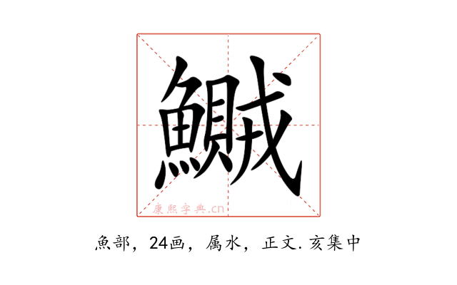 鱡