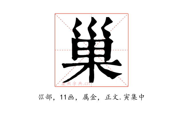 巢