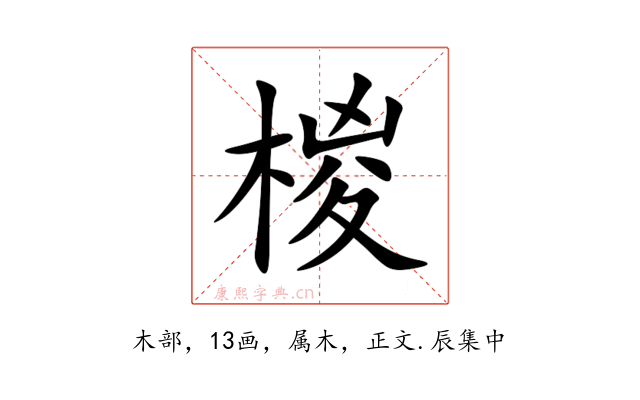 椶