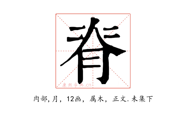 脊