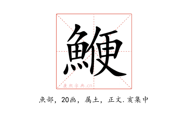 鯾