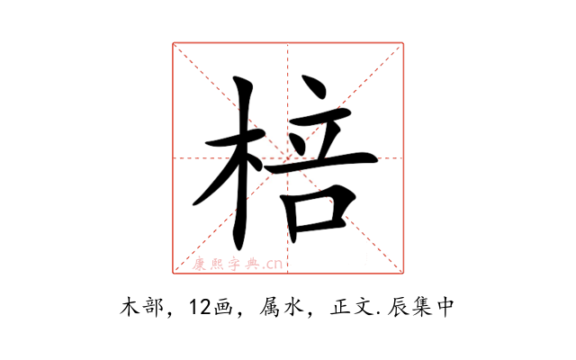 棓