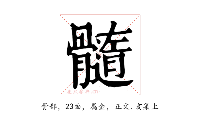髓